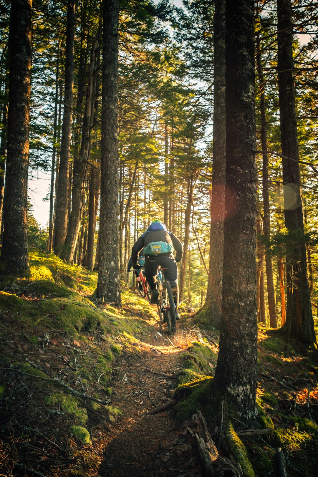 Top 10 Tips for Mountain Biking in Hot Weather: A Physiological and Performance Guide