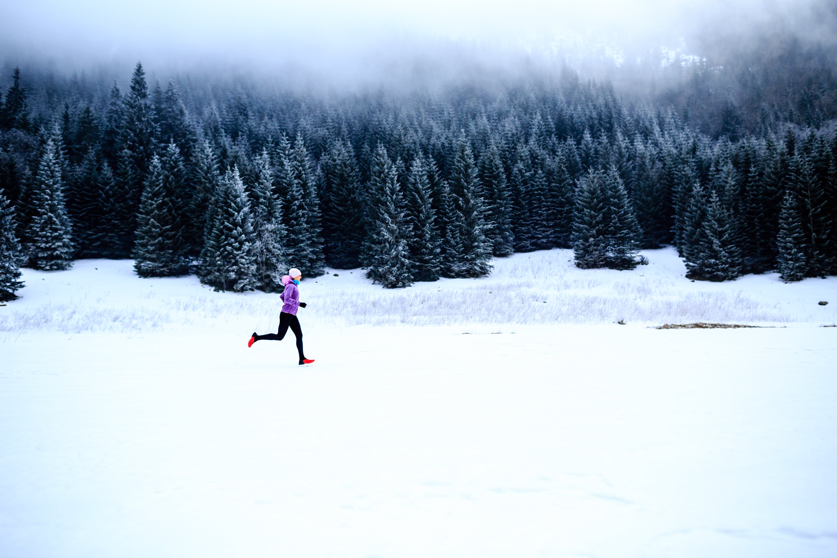 Training While Traveling: The Busy Athlete's Protocol