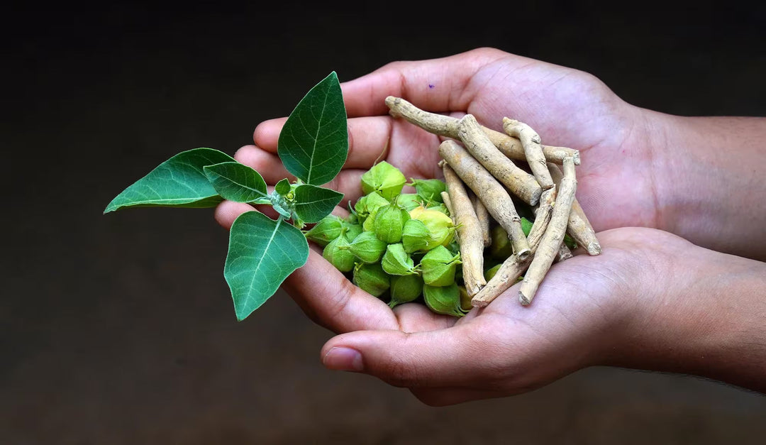 The Science Behind Ashwagandha