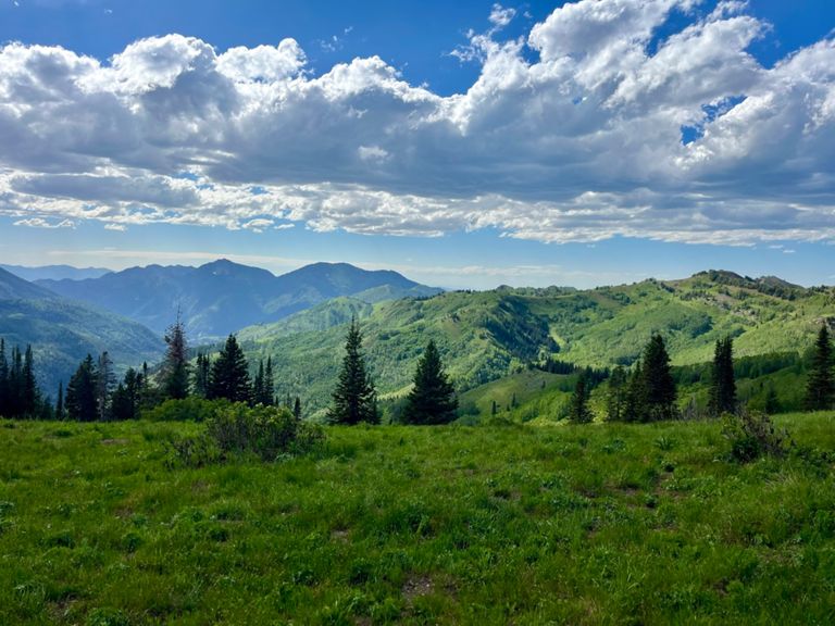 Top 10 Run Clubs in Salt Lake City, Utah: The Complete Local Guide