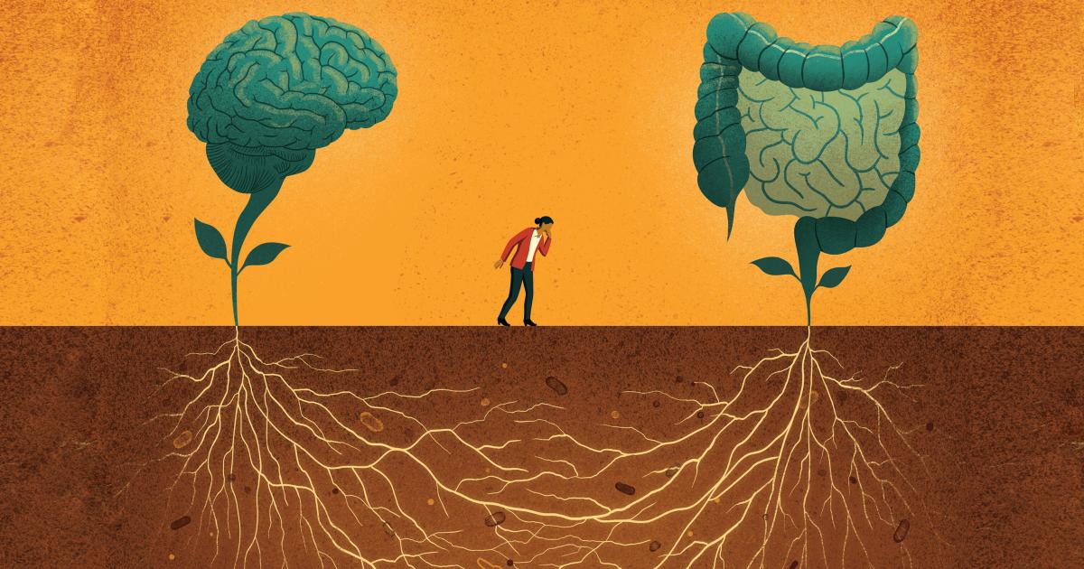 infographic showing benefits of gut microbiome diversity on digestion and immunity