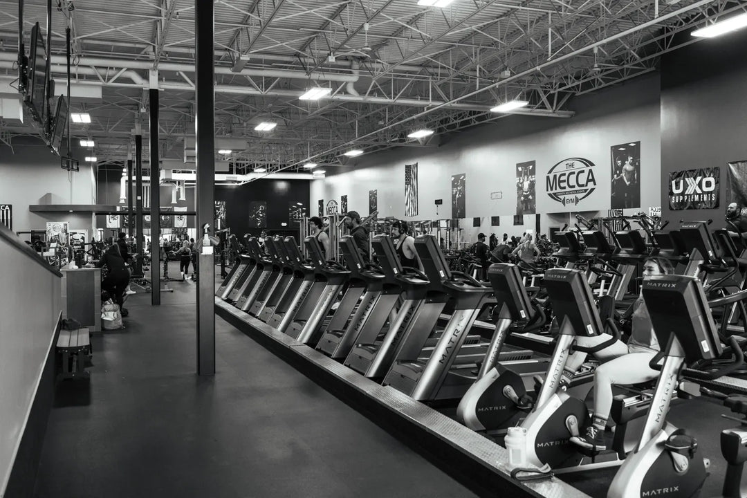 The Best Muscle-Building Sports and Activities: A Scientific Guide to Stimulus, Programming, and Recovery