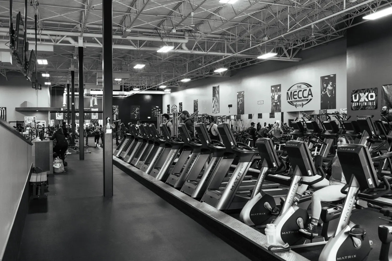 The Best Muscle-Building Sports and Activities: A Scientific Guide to Stimulus, Programming, and Recovery