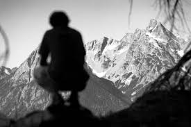 The Best Supplements for Muscle Recovery: A Scientific, Athlete-Focused Guide