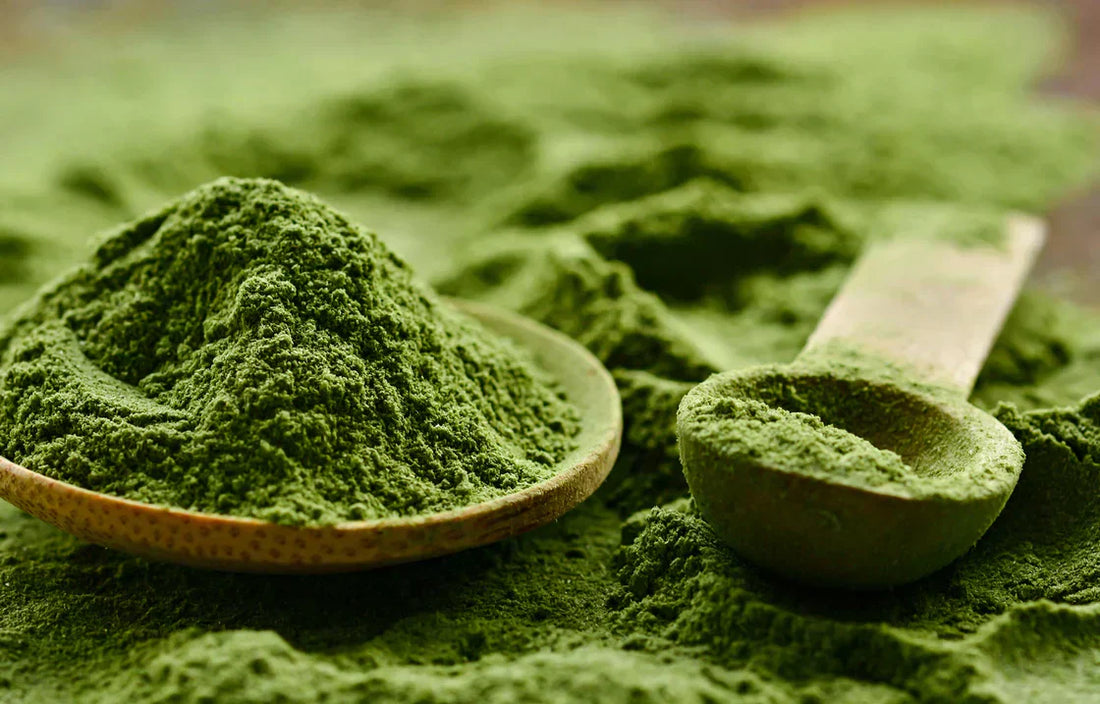 hero image: close‑up of green superfood powder bowl with fresh leafy greens